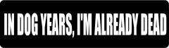 In dog years I'm already dead (1 Dozen)