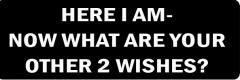 HERE I AM - NOW WHAT ARE YOUR OTHER 2 WISHES (1 Dozen)