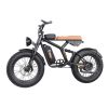 EMB001 Fat Tires Off Road Electric Bike  1200W Powerful Motor