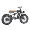 EMB001 Fat Tires Off Road Electric Bike  1200W Powerful Motor